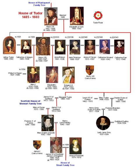 house of tudor family tree